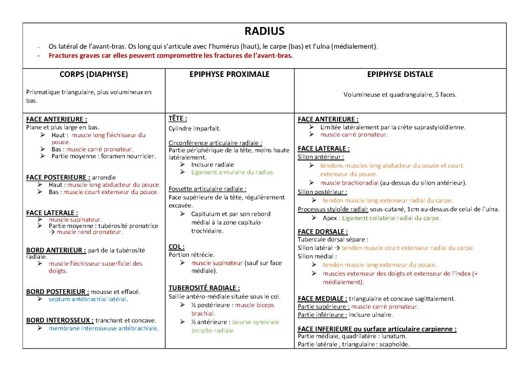 Radius