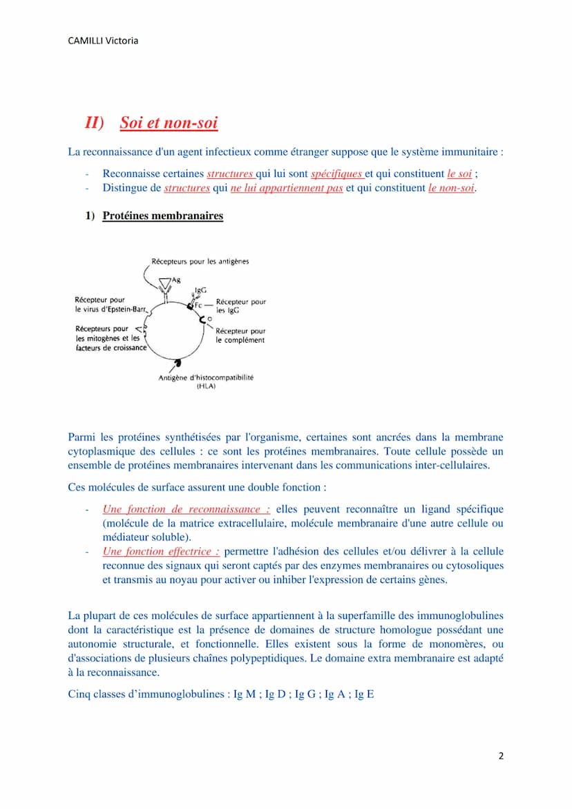 CAMILLI Victoria
SYSTEME IMMUNITAIRE :
SOI ET NON-SOI
Cellules, molécules, organes de l'immunité
I)
Définitions
L'immunité : ensemble des mé