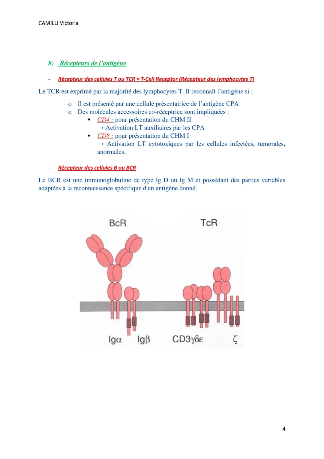 CAMILLI Victoria
SYSTEME IMMUNITAIRE :
SOI ET NON-SOI
Cellules, molécules, organes de l'immunité
I)
Définitions
L'immunité : ensemble des mé