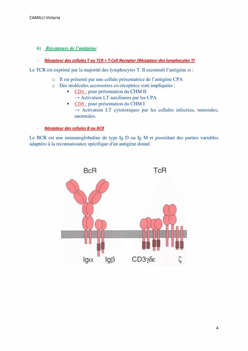 CAMILLI Victoria
SYSTEME IMMUNITAIRE :
SOI ET NON-SOI
Cellules, molécules, organes de l'immunité
I)
Définitions
L'immunité : ensemble des mé