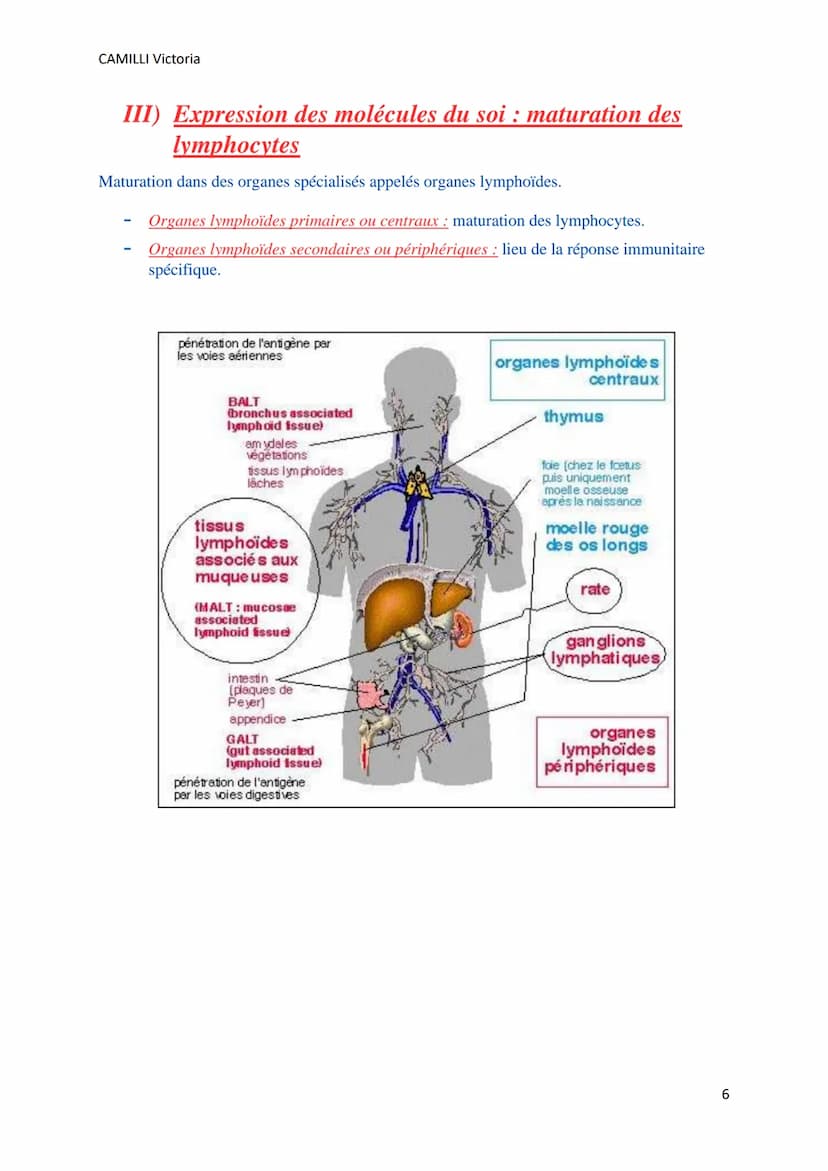 CAMILLI Victoria
SYSTEME IMMUNITAIRE :
SOI ET NON-SOI
Cellules, molécules, organes de l'immunité
I)
Définitions
L'immunité : ensemble des mé