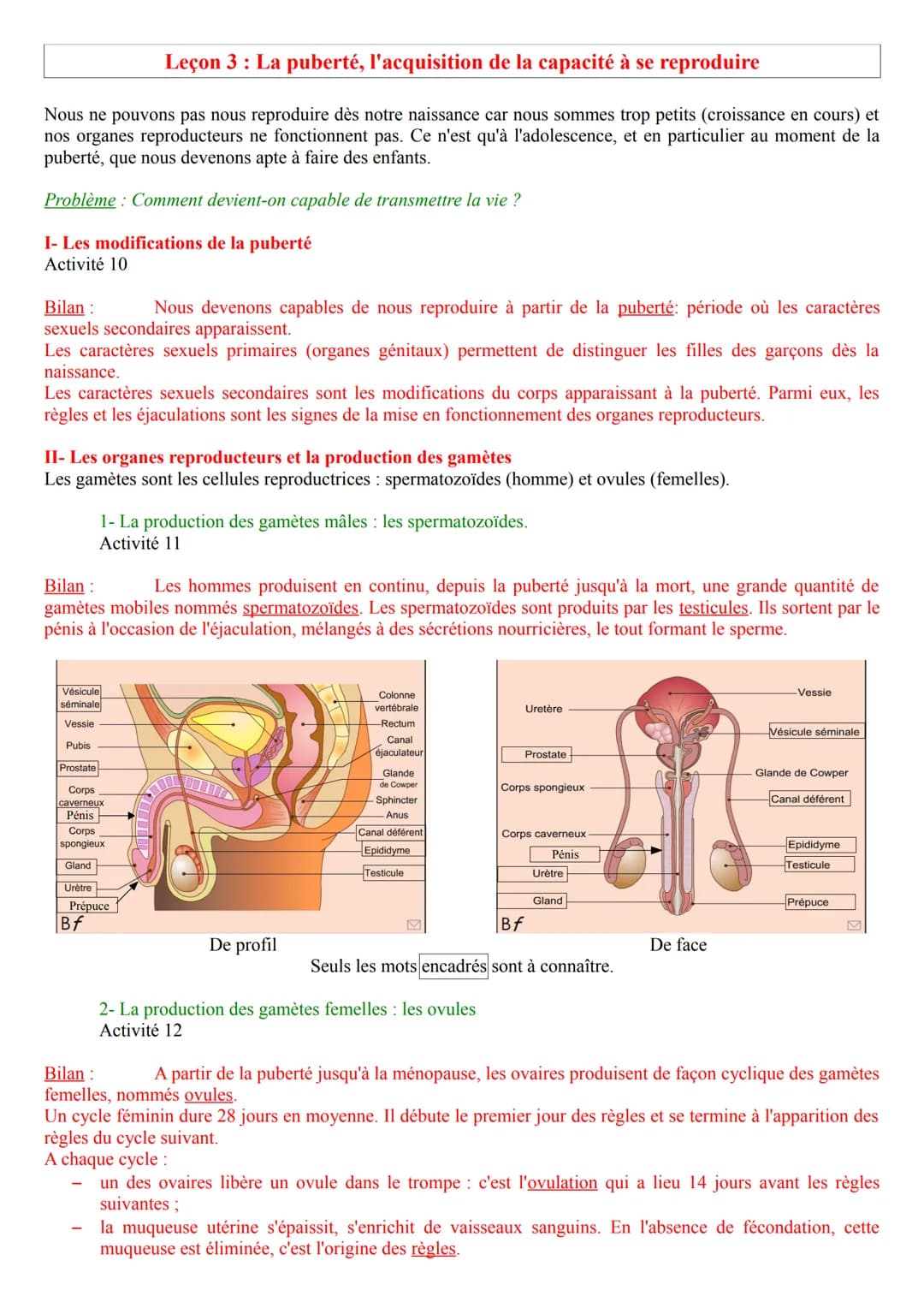 Leçon 3: La puberté, l'acquisition de la capacité à se reproduire
Nous ne pouvons pas nous reproduire dès notre naissance car nous sommes tr