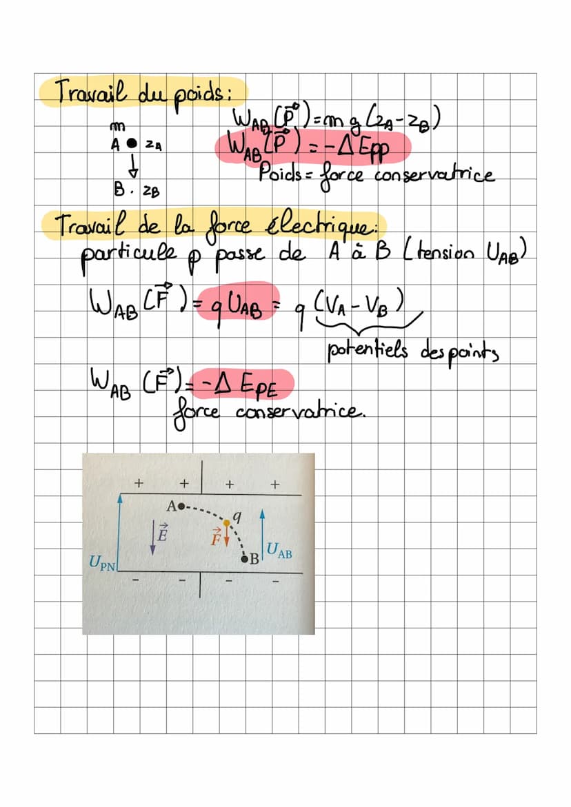 Champ électrique.
E : même direction, sens et valeur en
tout point de l'espace.
Entre deux armatures métalliques
Pet N séparés de d, soumis 