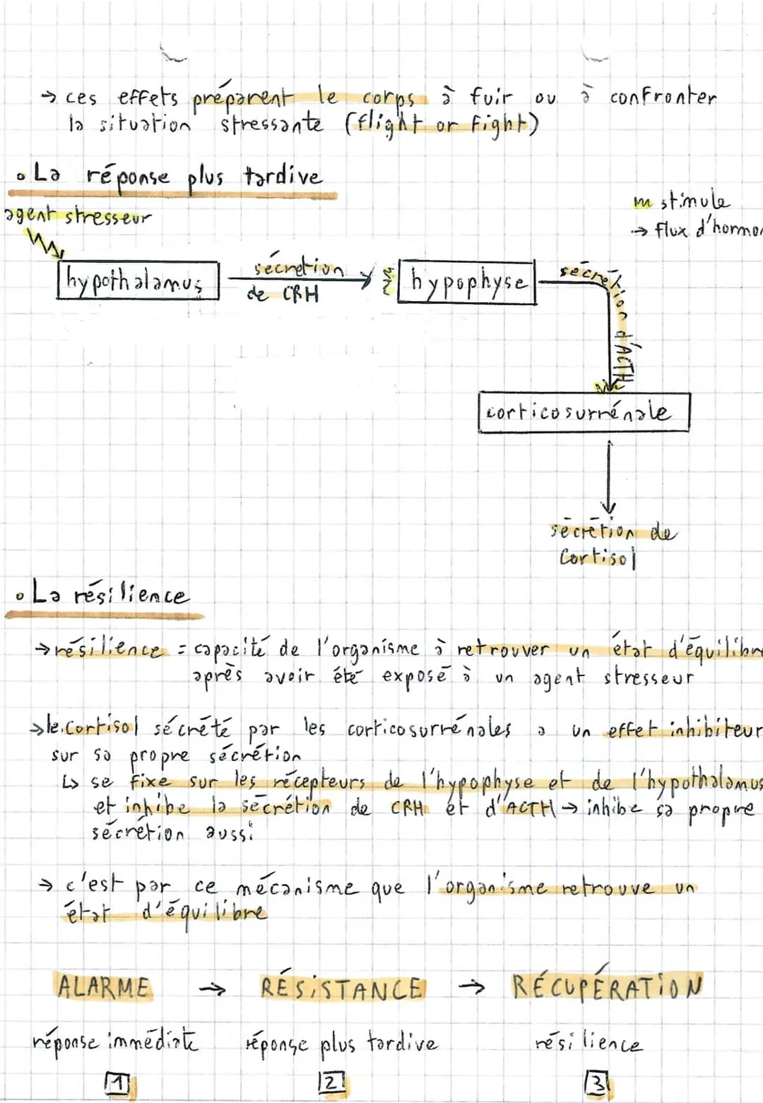 Le stress aigu
→ stress -
SVT *
44
Comportement et stress ~
l'ensemble des modifications physiologiques du corps en
réponse à une perturbati