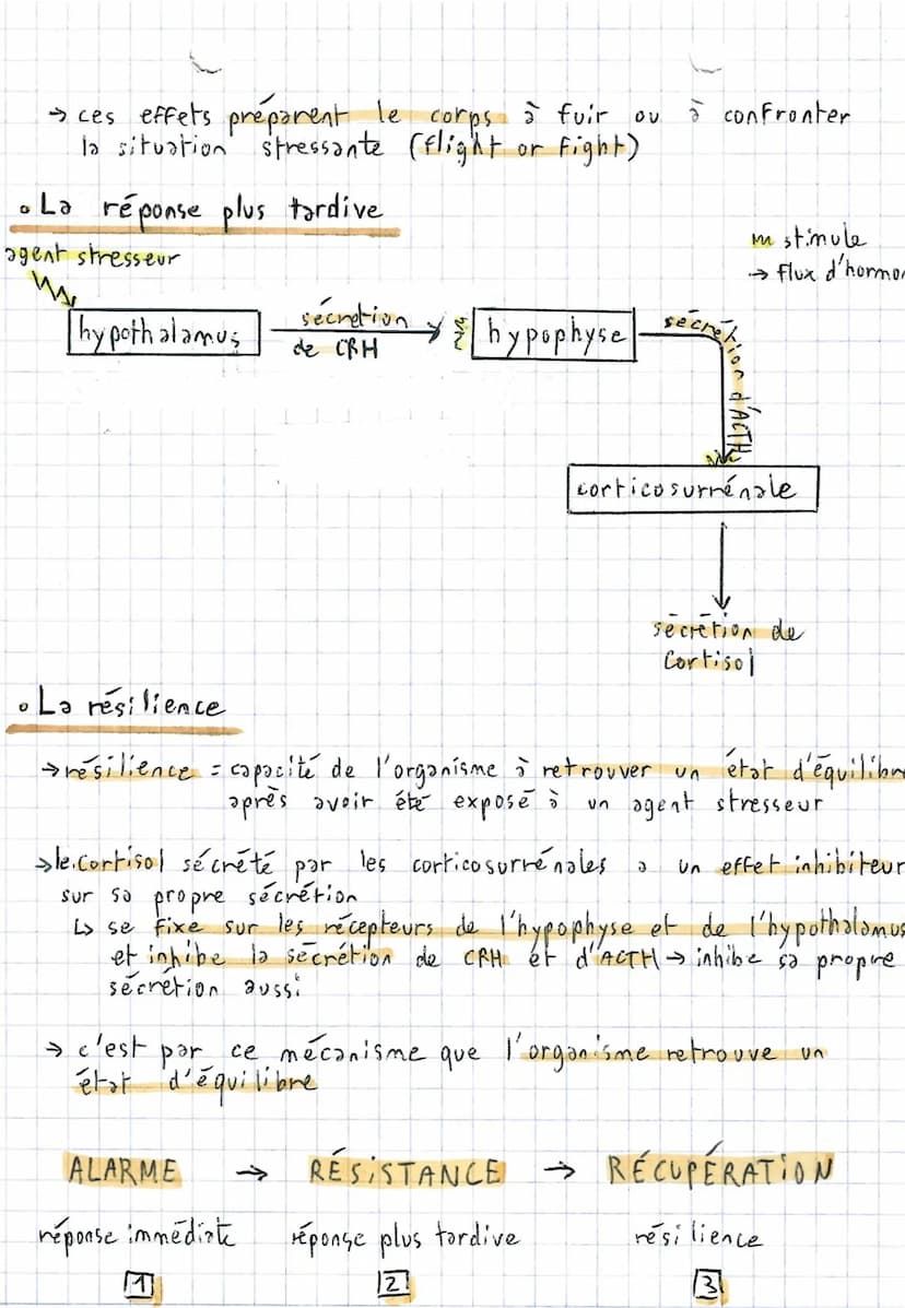 Le stress aigu
→ stress -
SVT *
44
Comportement et stress ~
l'ensemble des modifications physiologiques du corps en
réponse à une perturbati