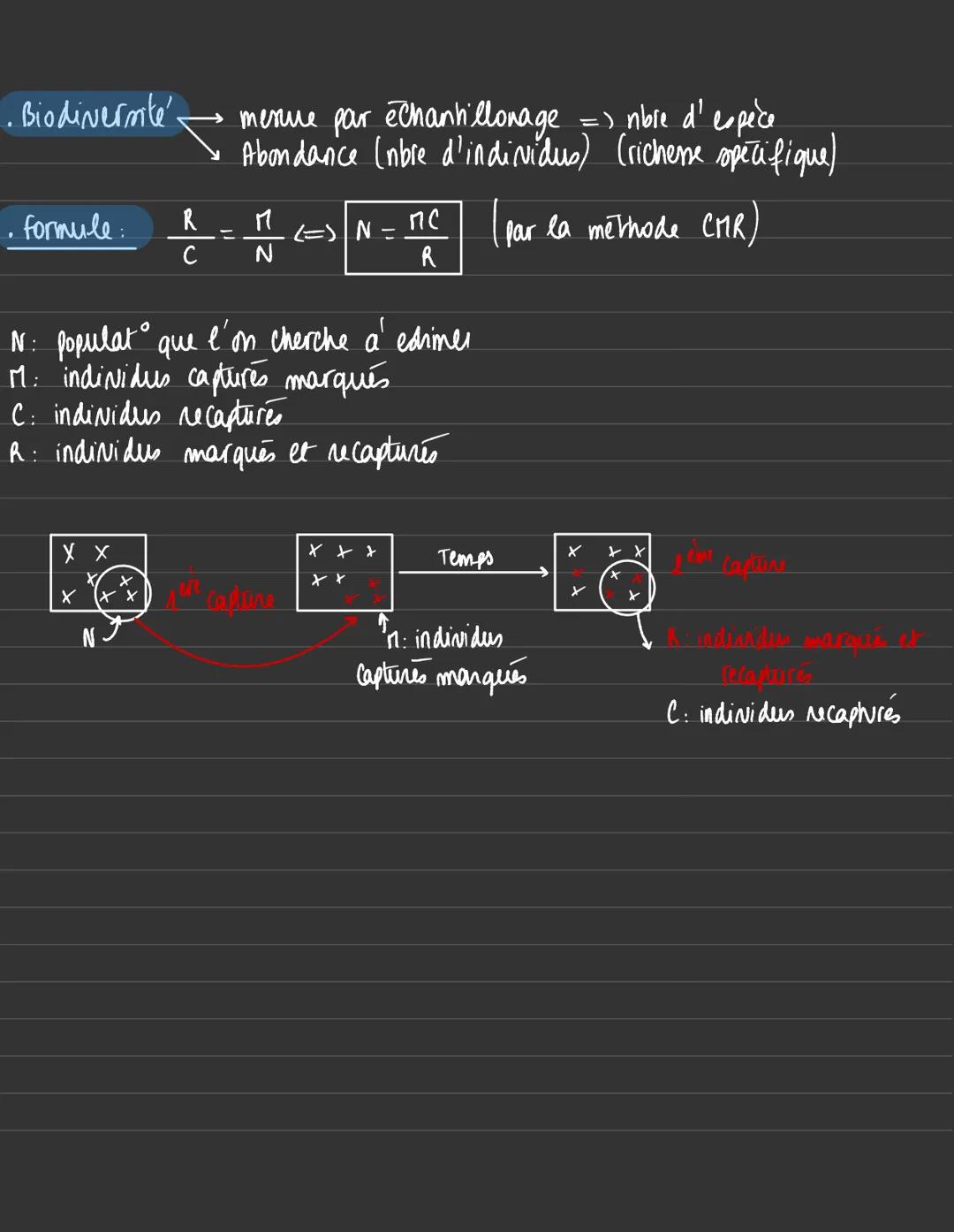 E.S. SUT
;
gene Informar génétique porté sur les chromosomes =) express"
di conactère hereditaine.
Alléle: version possible due gene
nuratio