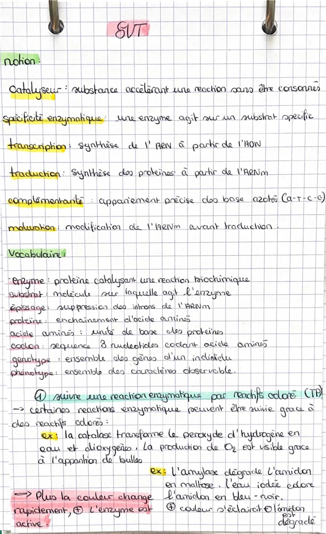 --- OCR Start ---
SUT
notion
Catalyseur: substance accélérant une reaction sans être consonnes
specificité enzymatique: une enzyme agit sur 