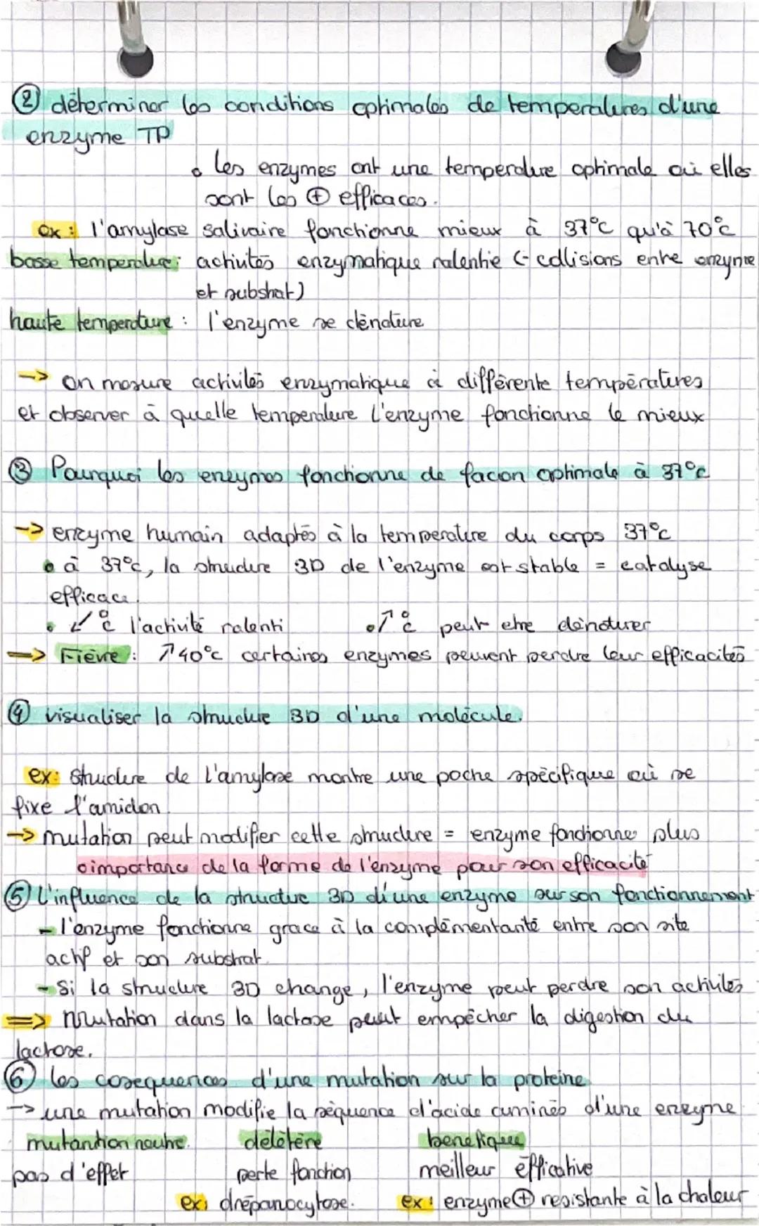 --- OCR Start ---
SUT
notion
Catalyseur: substance accélérant une reaction sans être consonnes
specificité enzymatique: une enzyme agit sur 