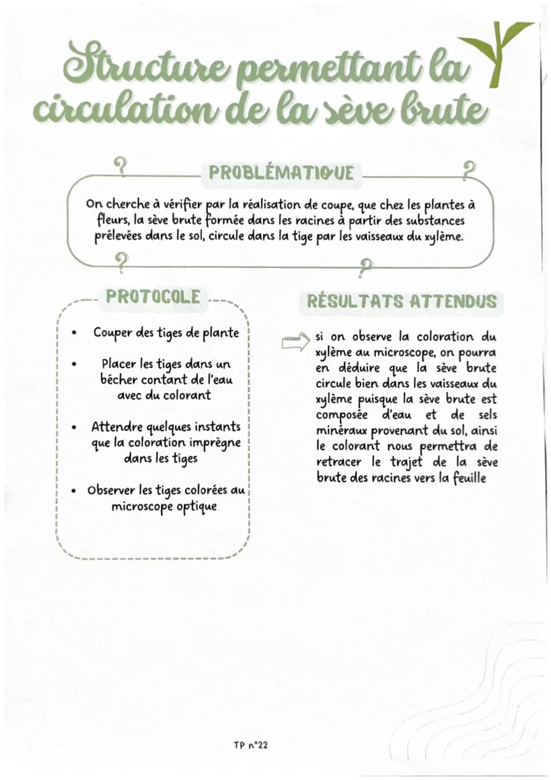 Brassage génétique
chez la drosophile
?
PROBLÉMATIQUE
On cherche à déterminer, par l'observation de croisements de drosophiles, si
la couleu