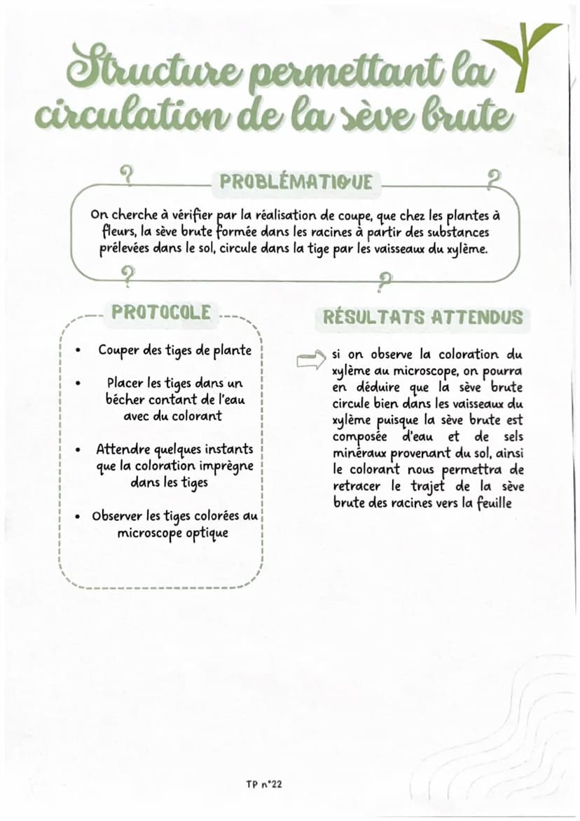 Brassage génétique
chez la drosophile
?
PROBLÉMATIQUE
On cherche à déterminer, par l'observation de croisements de drosophiles, si
la couleu