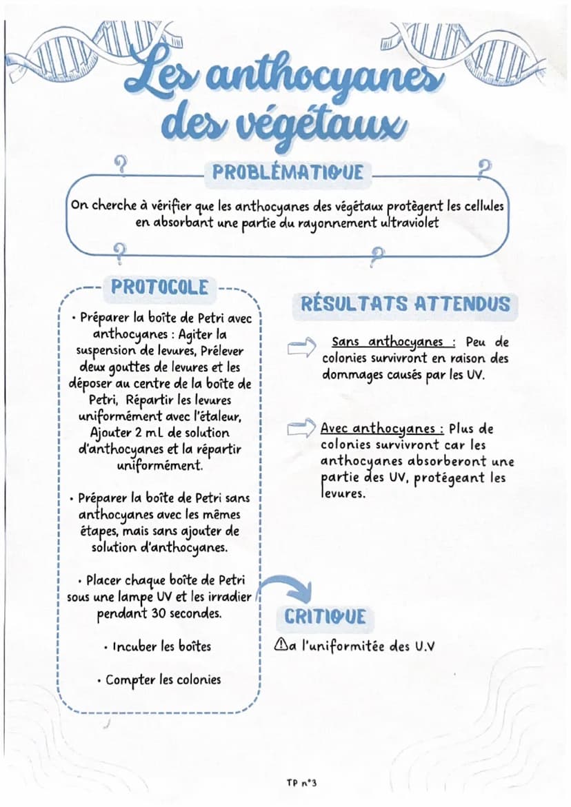 Brassage génétique
chez la drosophile
?
PROBLÉMATIQUE
On cherche à déterminer, par l'observation de croisements de drosophiles, si
la couleu