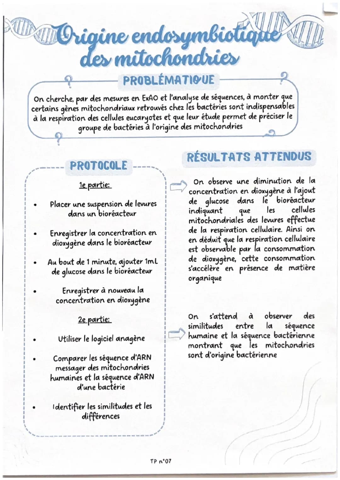 Brassage génétique
chez la drosophile
?
PROBLÉMATIQUE
On cherche à déterminer, par l'observation de croisements de drosophiles, si
la couleu