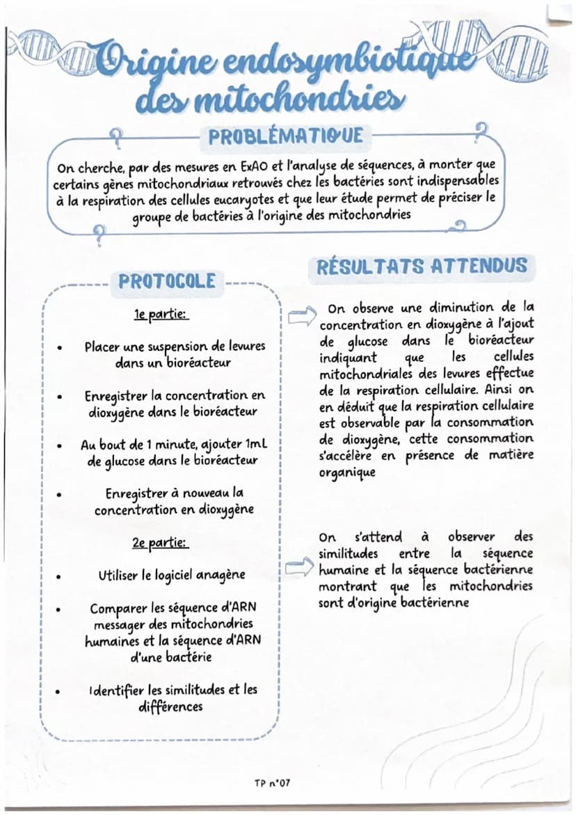 Brassage génétique
chez la drosophile
?
PROBLÉMATIQUE
On cherche à déterminer, par l'observation de croisements de drosophiles, si
la couleu