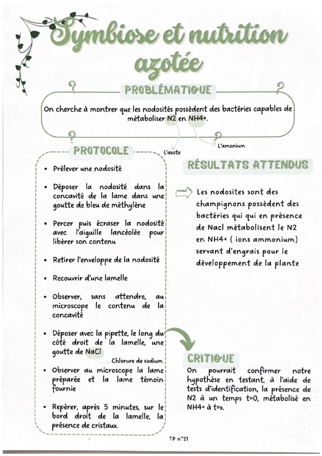 Brassage génétique
chez la drosophile
?
PROBLÉMATIQUE
On cherche à déterminer, par l'observation de croisements de drosophiles, si
la couleu