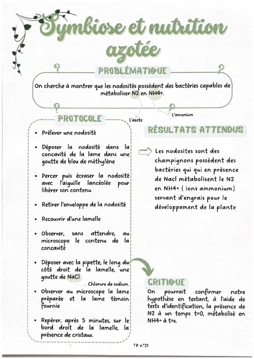 Brassage génétique
chez la drosophile
?
PROBLÉMATIQUE
On cherche à déterminer, par l'observation de croisements de drosophiles, si
la couleu