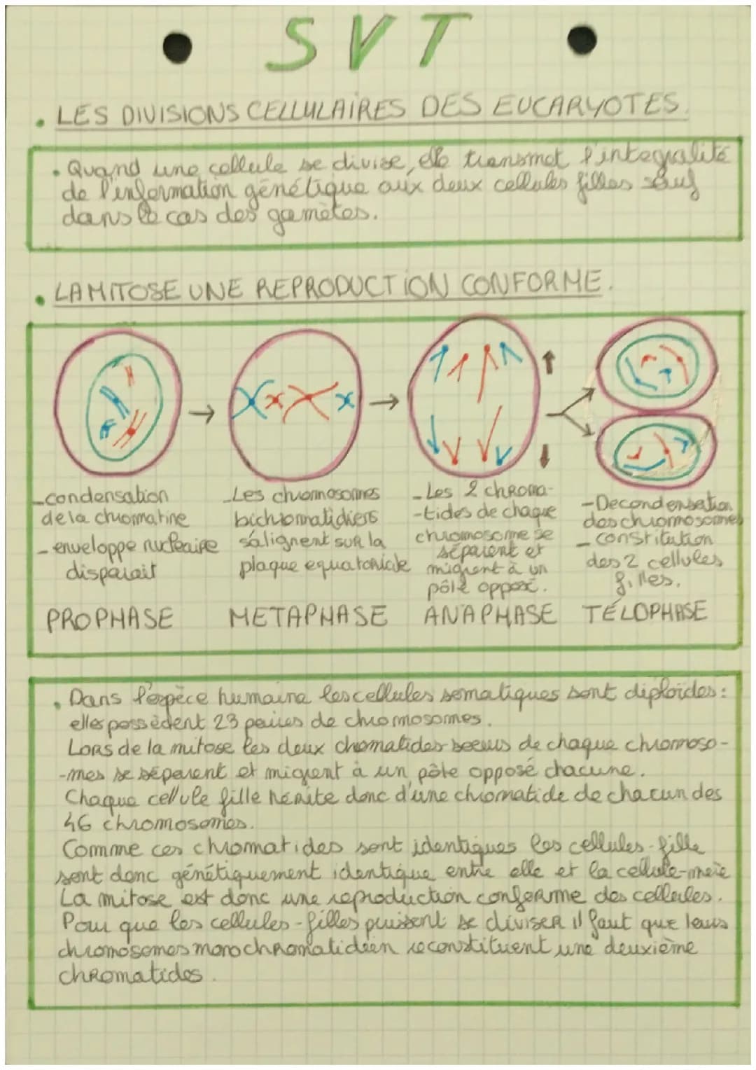 Transmission, variation et expression du patrimoine génétique 