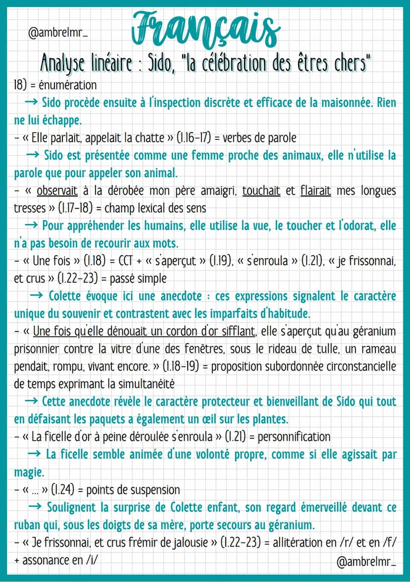 @ambrelmr_
Français
Analyse linéaire: Sido, "la célébration des êtres chers"
INTRODUCTION
Présentation du texte :
→ Auteur : Colette, de son