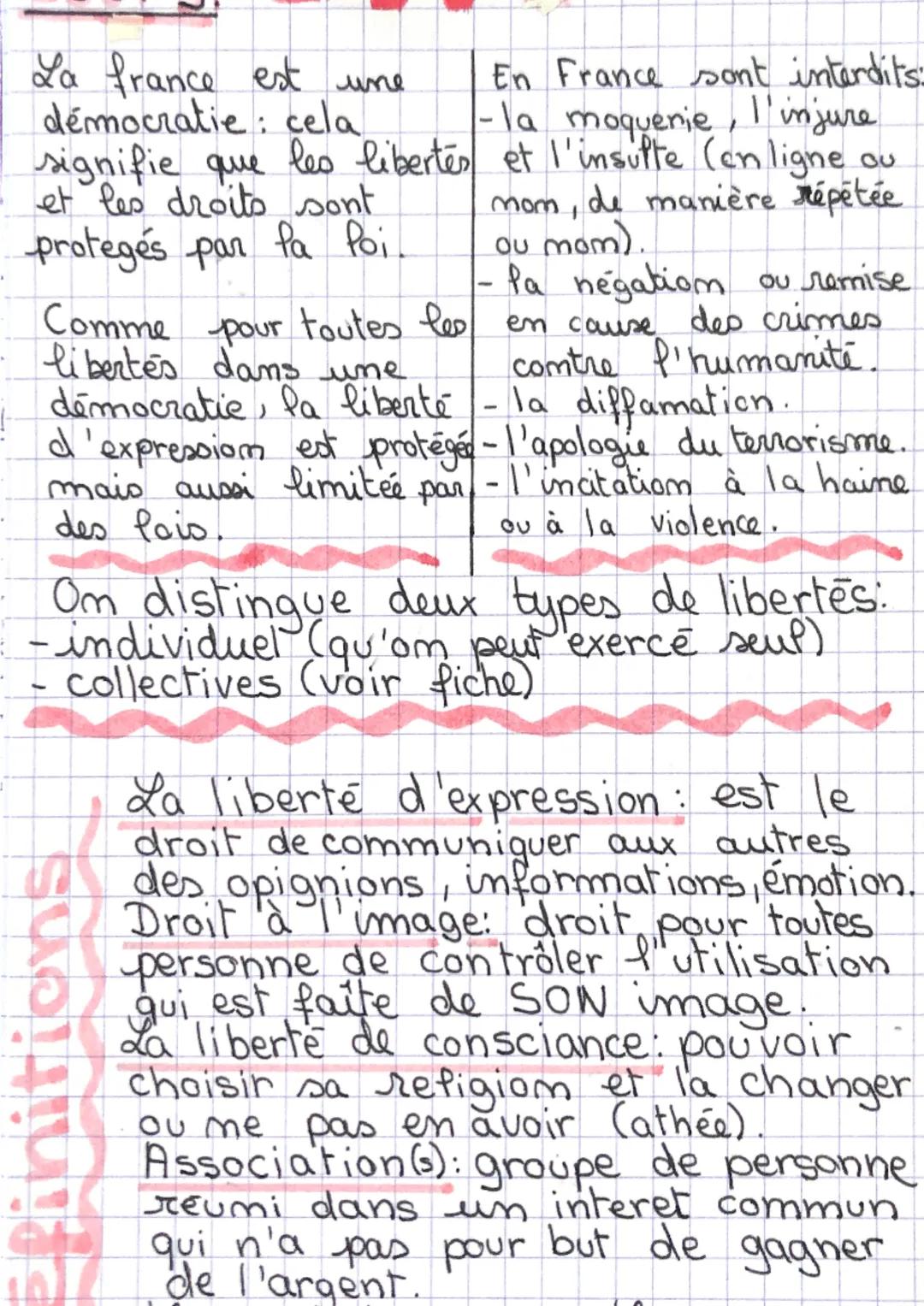La france est une
démocratie: cela
En France sont interdits:
- la moquerie, l'injure
signifie que les libertés et l'insulte (en ligne.
et le