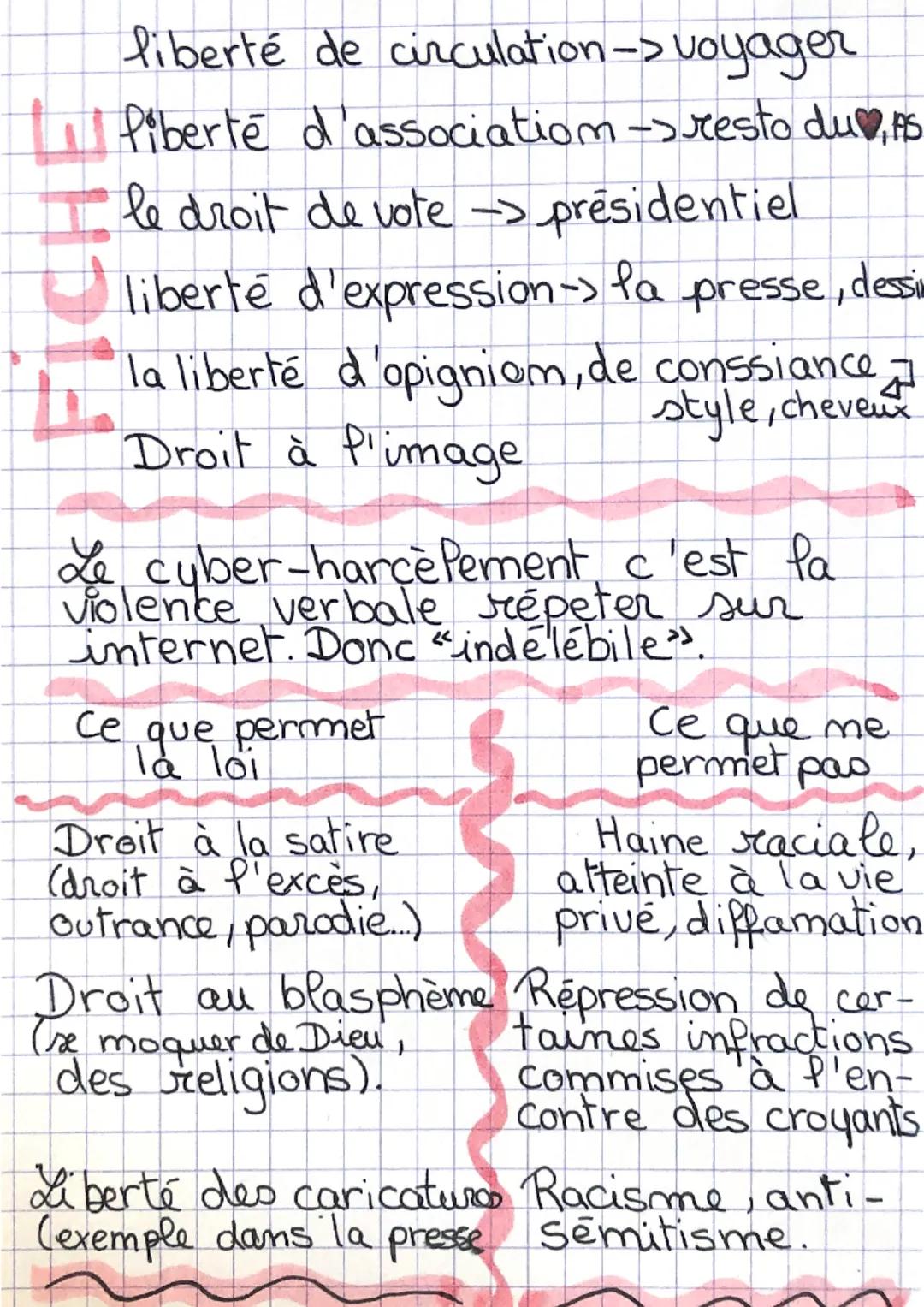 La france est une
démocratie: cela
En France sont interdits:
- la moquerie, l'injure
signifie que les libertés et l'insulte (en ligne.
et le