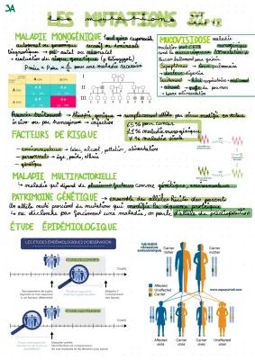 Know les mutations, cancérisation et antibioresistance thumbnail