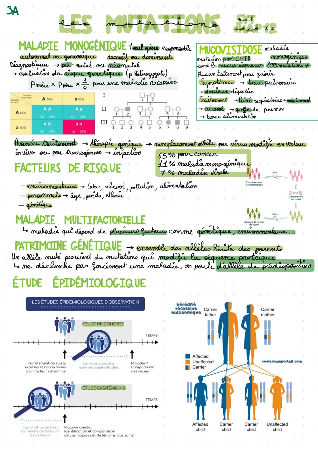 3A
MALADIE MONOGÉNIQUE 1 seul gène responsable
recessif ou dominante
Gamites
du père
autosomal ou gonoomique
Diagnostiquer → pré-natal ou né