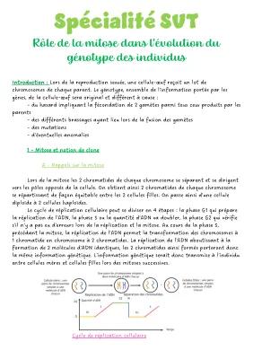 Know Rôle de la mitose dans l’évolution du génotype des individus  thumbnail