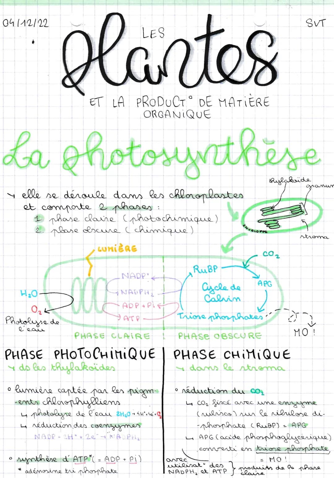 Plantes
ET LA PRODUCT DE MATIÈRE
ORGANIQUE
La photosynthese
04/12/22
4 elle se déroule dans les chloroplastes
et comporte 2 phases.
:
1 phas