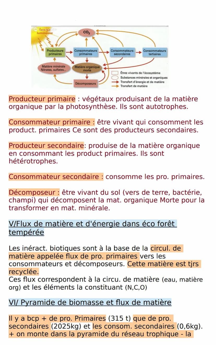 SVT: Les écosystème, des interactions
dynamiques entres les êtres vivants et leur milieu
I/ Caractéristiques d'un écosystème
Écosystème: ens