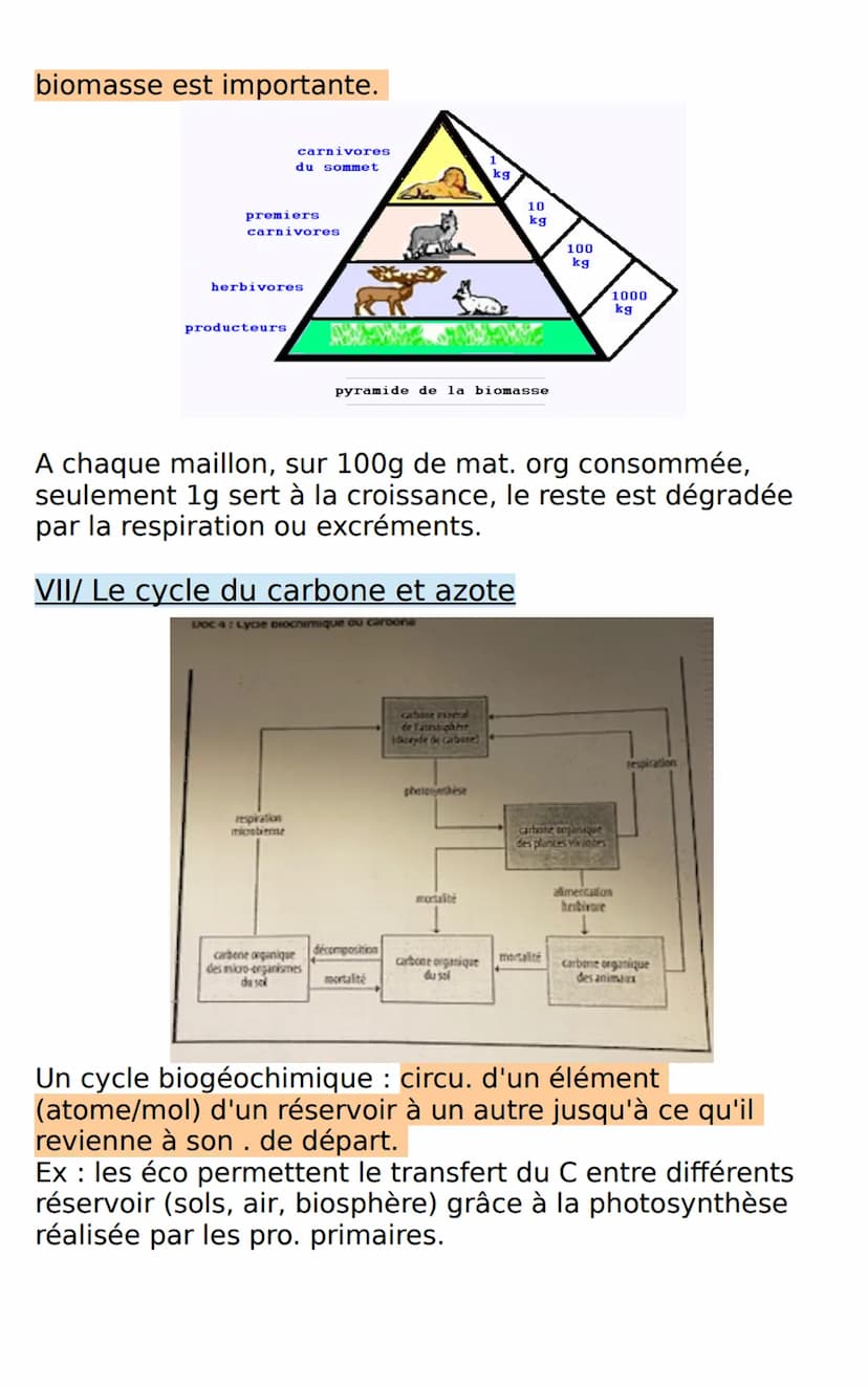 SVT: Les écosystème, des interactions
dynamiques entres les êtres vivants et leur milieu
I/ Caractéristiques d'un écosystème
Écosystème: ens