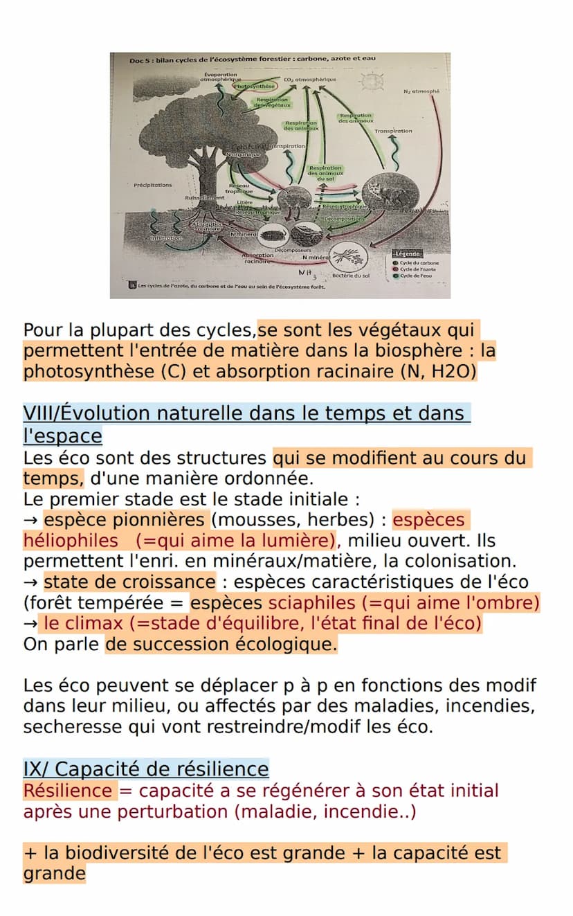 SVT: Les écosystème, des interactions
dynamiques entres les êtres vivants et leur milieu
I/ Caractéristiques d'un écosystème
Écosystème: ens