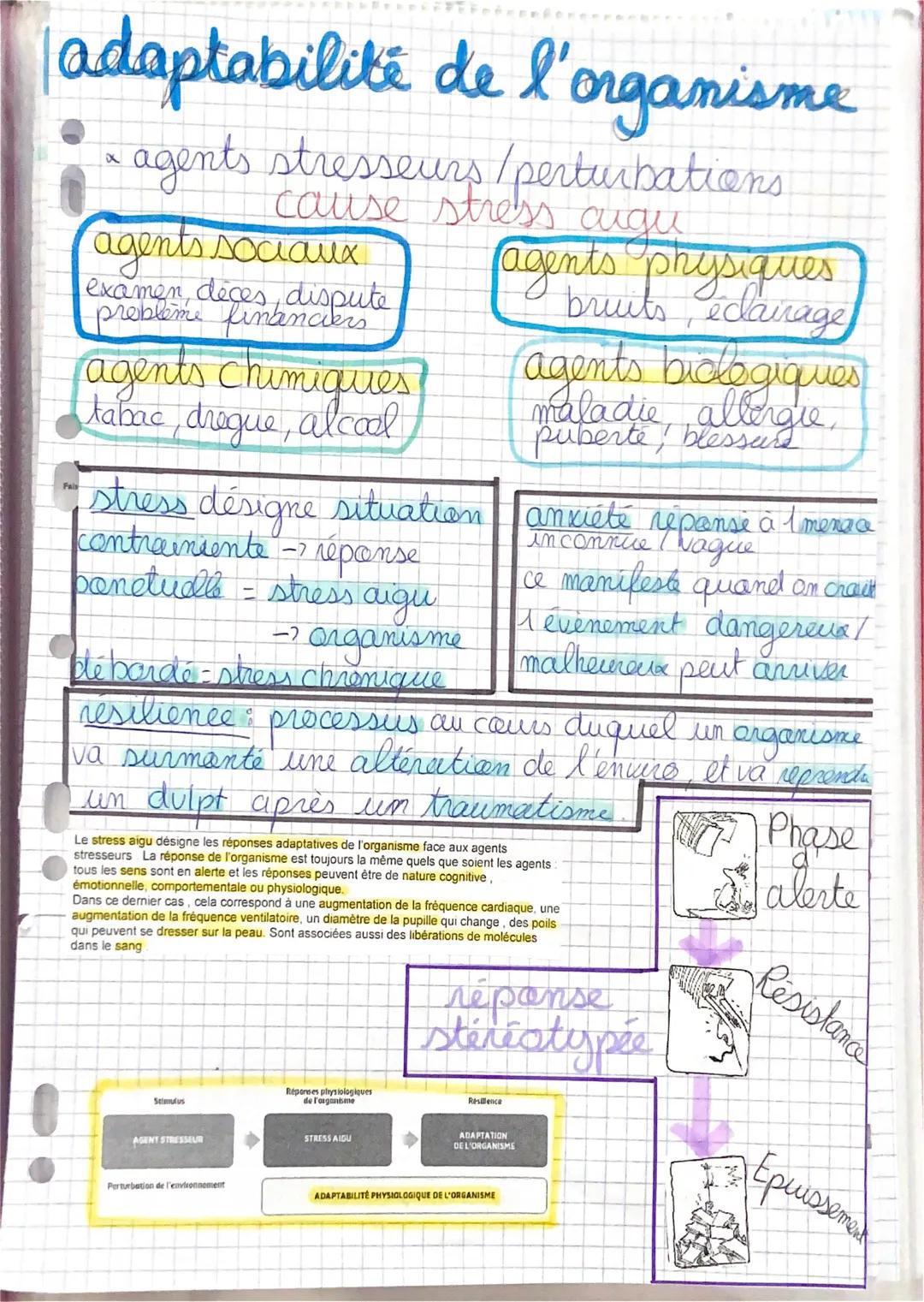 adaptabilité de l'organisme
agents stresseurs / perturbations
cause stress augu
x
Fais
agents sociaux
examen, déces, dispute
probleme financ