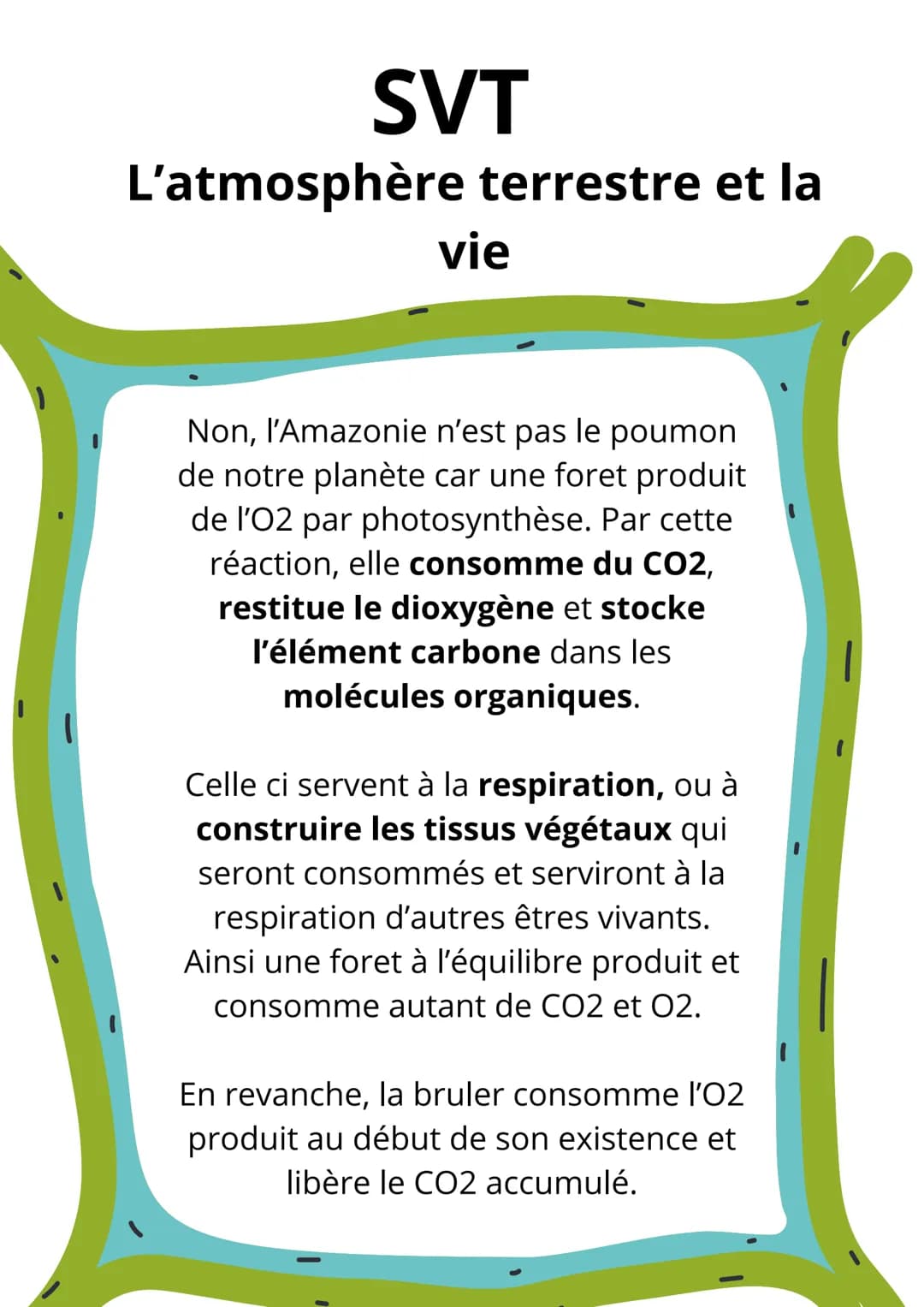 SVT
L'atmosphère terrestre et la
vie
L'Amazonie est-elle le poumon de notre planète ?
6CO2 + 6H20 = C6H1206 + 602
6C02C6+ 602
CO2 = C +02
Ph