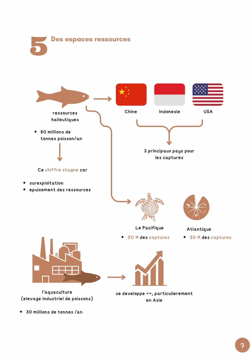 CHARITRE 3
mers et océans: vecteurs
essentiels de la mondialisation
1
Les Golfe Arabo-Persique
Autres pays qui exploitent le
petrole et le g