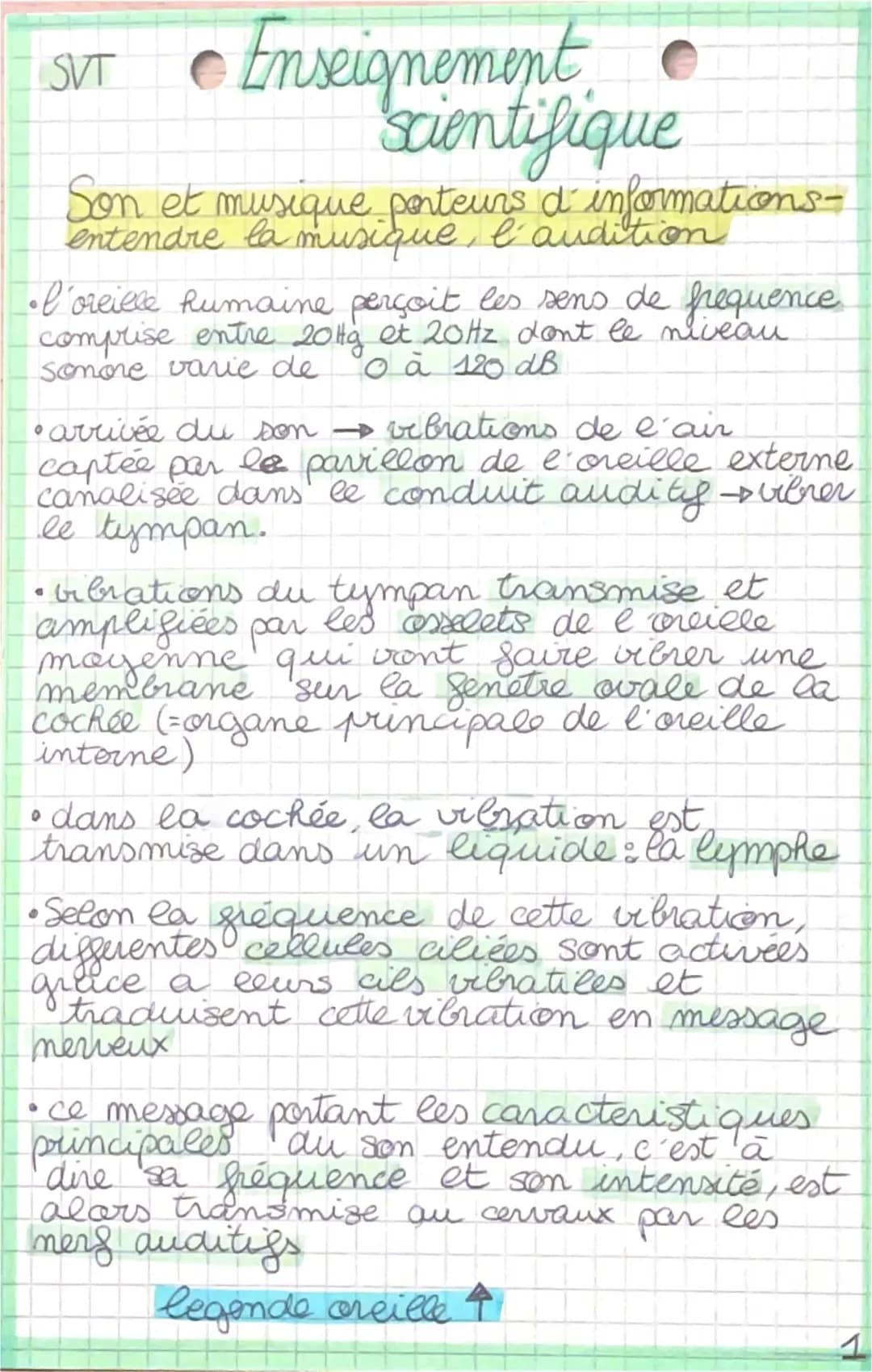 Exercice Audition et Perception du Son - Enseignement Scientifique 1ère