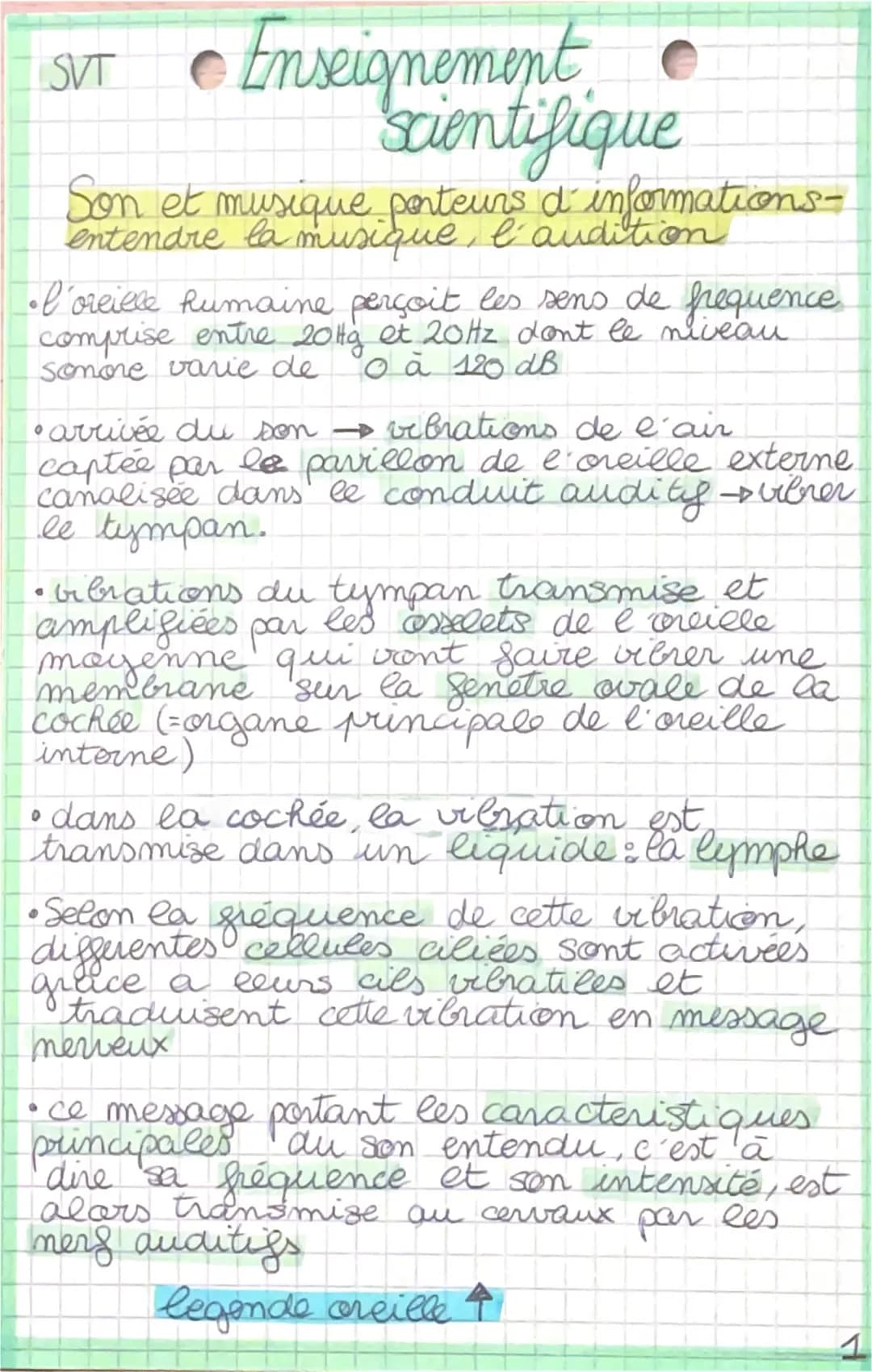 Enseignement
scientifique
Son et musique porteurs d'informations-
entendre la musique, l'audition
SVT
•I'oreille humaine perçoit les sens de