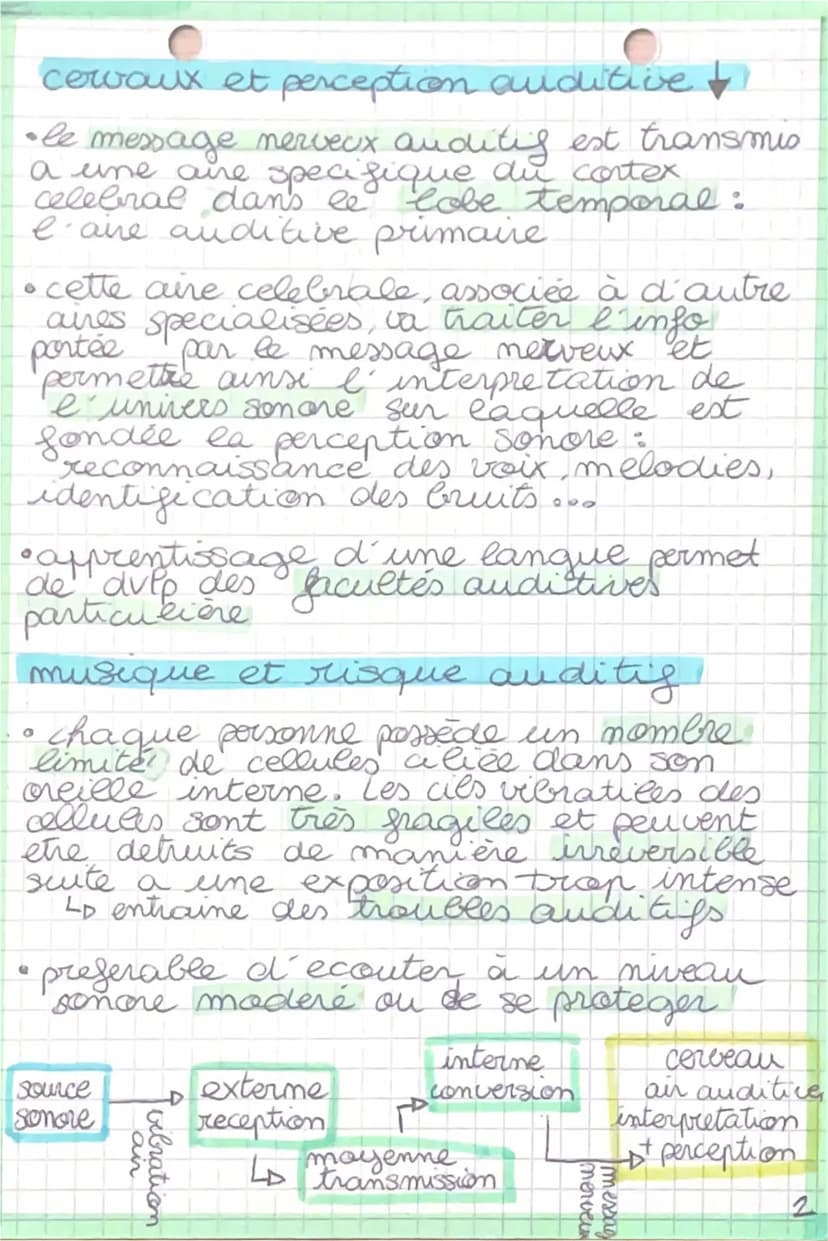 Enseignement
scientifique
Son et musique porteurs d'informations-
entendre la musique, l'audition
SVT
•I'oreille humaine perçoit les sens de