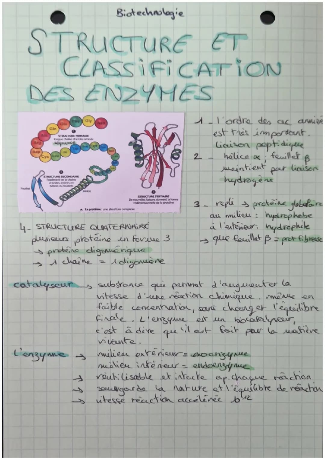 STRUCTURE ET
CLASSIFICATION
DES ENZYHES
Feuillet
Asp
Gin
the Gly
STRUCTURE PRIMAIRE
ongue chaine d'acides aminés
sequence
STRUCTURE SECONDAI