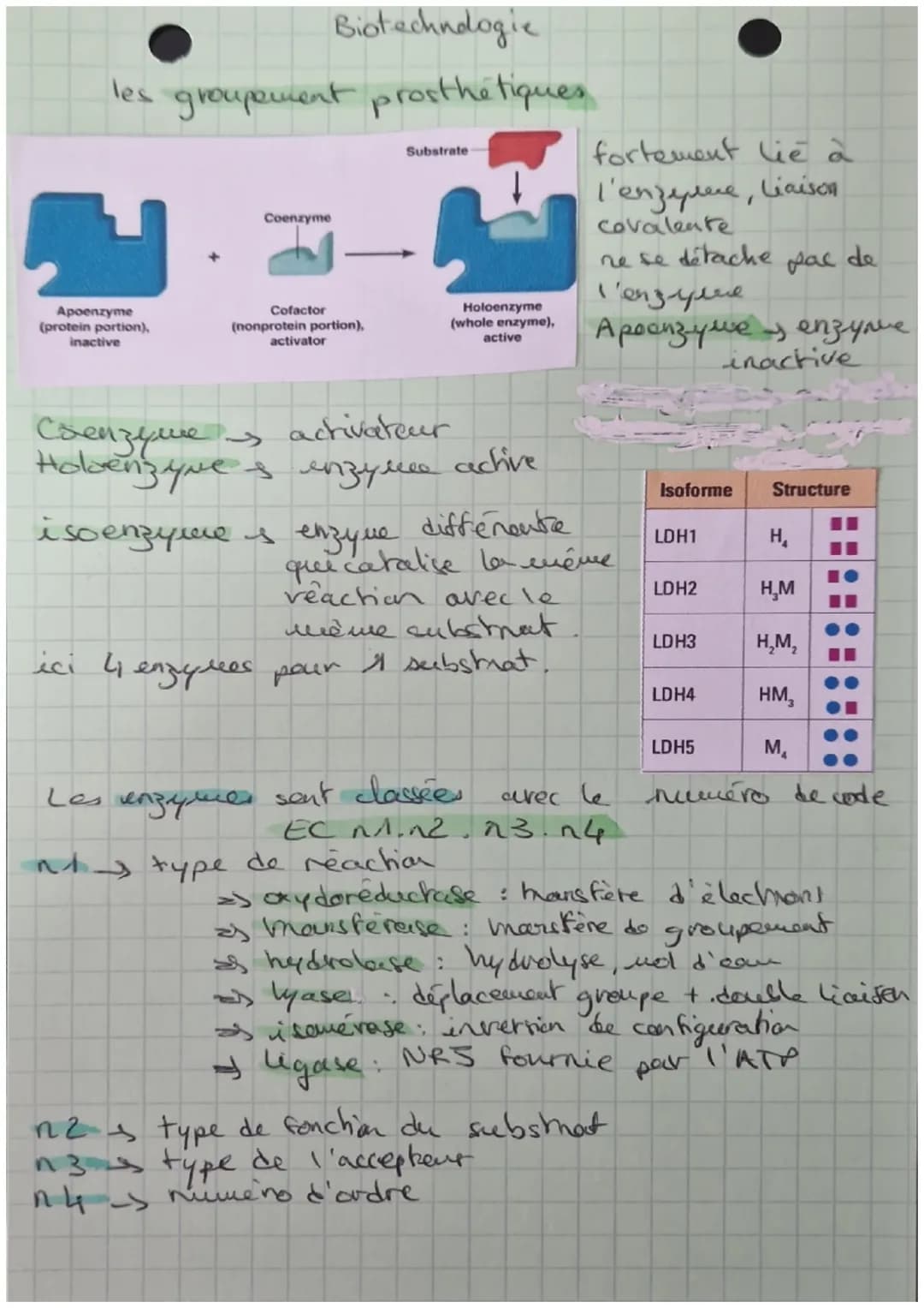 STRUCTURE ET
CLASSIFICATION
DES ENZYHES
Feuillet
Asp
Gin
the Gly
STRUCTURE PRIMAIRE
ongue chaine d'acides aminés
sequence
STRUCTURE SECONDAI