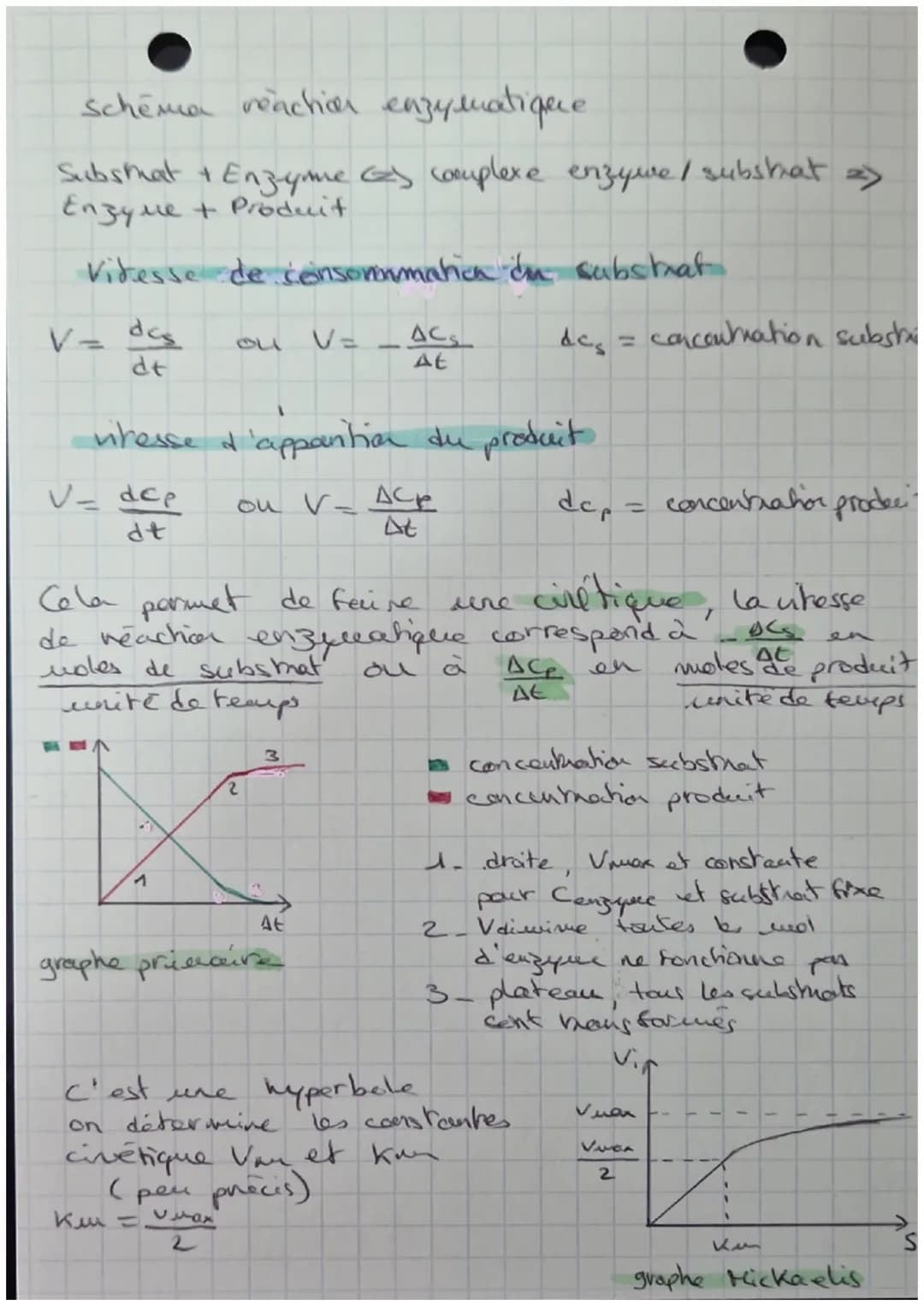 STRUCTURE ET
CLASSIFICATION
DES ENZYHES
Feuillet
Asp
Gin
the Gly
STRUCTURE PRIMAIRE
ongue chaine d'acides aminés
sequence
STRUCTURE SECONDAI