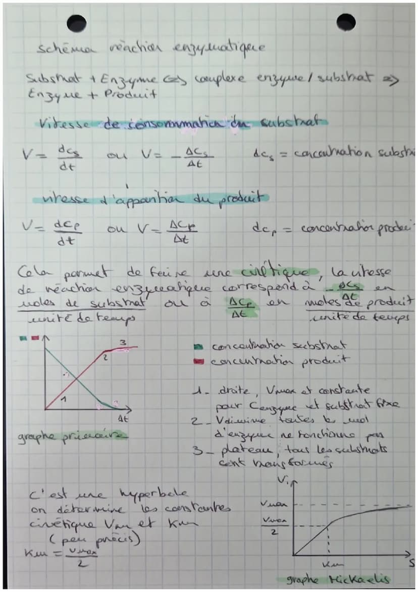 STRUCTURE ET
CLASSIFICATION
DES ENZYHES
Feuillet
Asp
Gin
the Gly
STRUCTURE PRIMAIRE
ongue chaine d'acides aminés
sequence
STRUCTURE SECONDAI