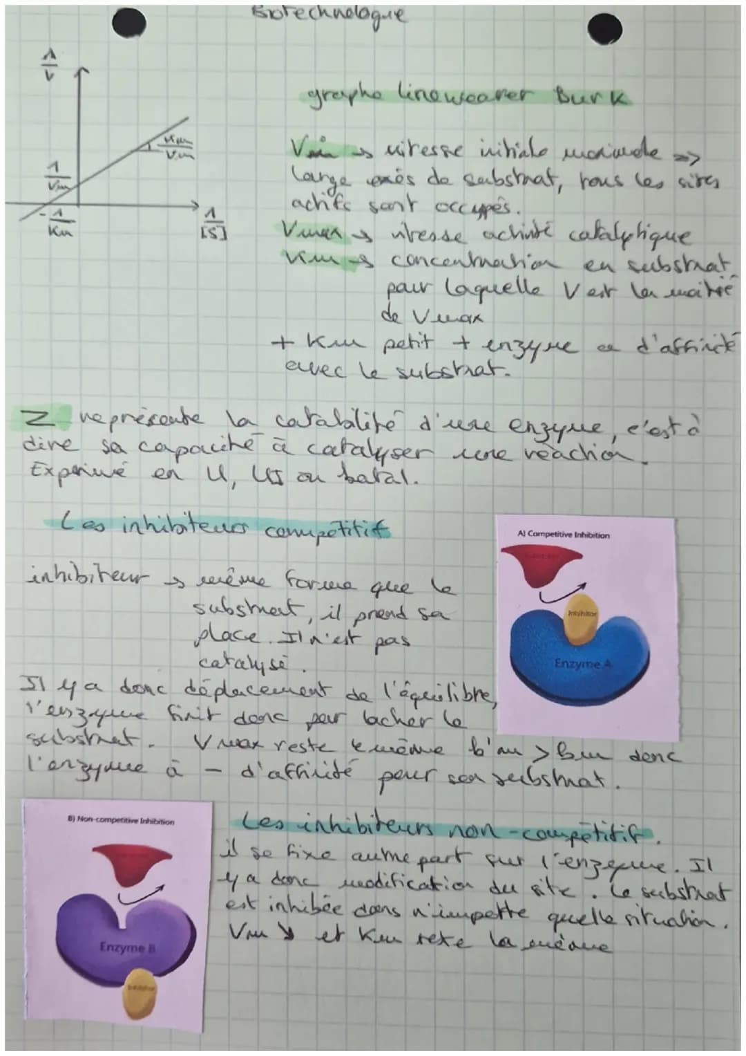 STRUCTURE ET
CLASSIFICATION
DES ENZYHES
Feuillet
Asp
Gin
the Gly
STRUCTURE PRIMAIRE
ongue chaine d'acides aminés
sequence
STRUCTURE SECONDAI