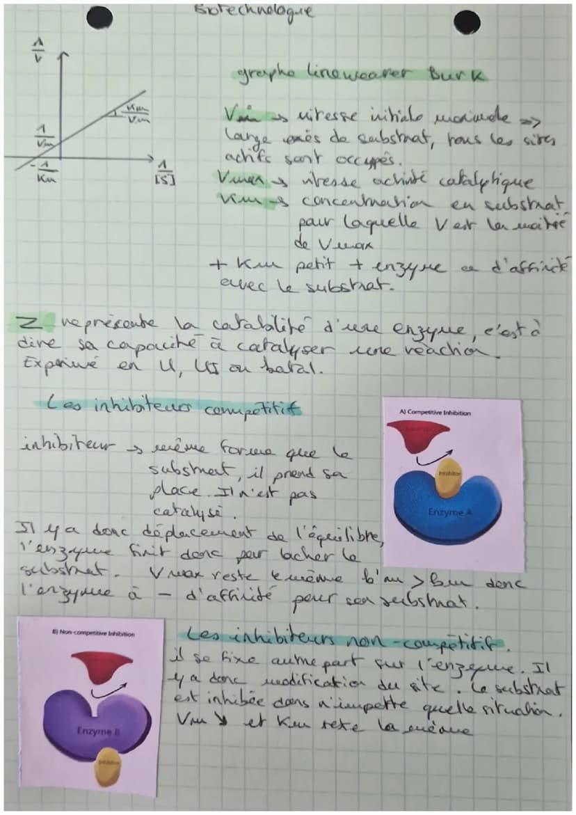 STRUCTURE ET
CLASSIFICATION
DES ENZYHES
Feuillet
Asp
Gin
the Gly
STRUCTURE PRIMAIRE
ongue chaine d'acides aminés
sequence
STRUCTURE SECONDAI