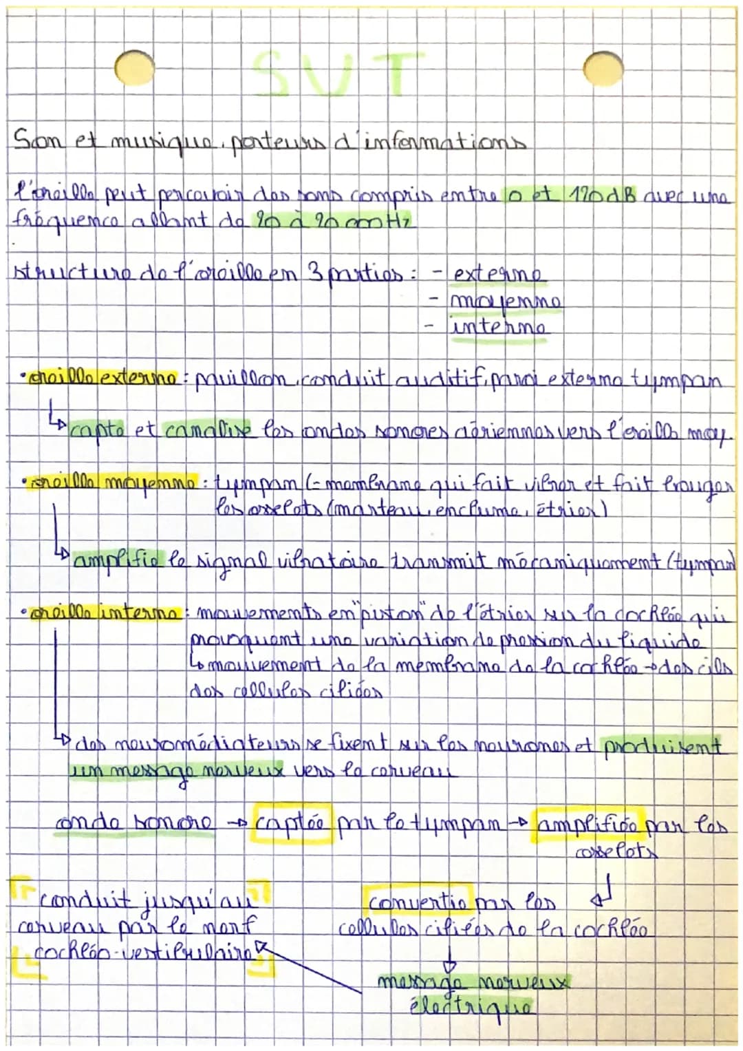 IC
Son et musique, porteurs d'informations
I'oreille peut percauoir des sons compris entre 0 et 170 dB avec une
frequence allant de 20 à 20 