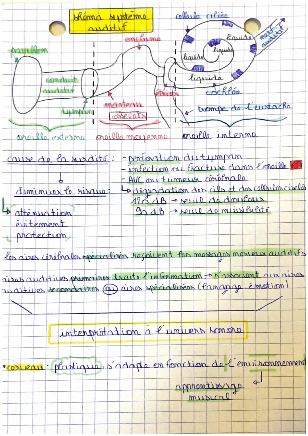 IC
Son et musique, porteurs d'informations
I'oreille peut percauoir des sons compris entre 0 et 170 dB avec une
frequence allant de 20 à 20 
