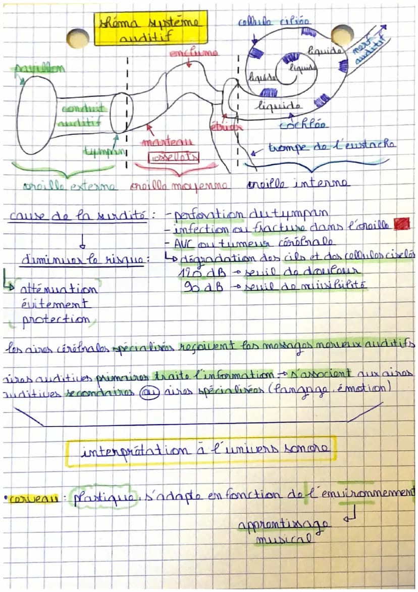 IC
Son et musique, porteurs d'informations
I'oreille peut percauoir des sons compris entre 0 et 170 dB avec une
frequence allant de 20 à 20 