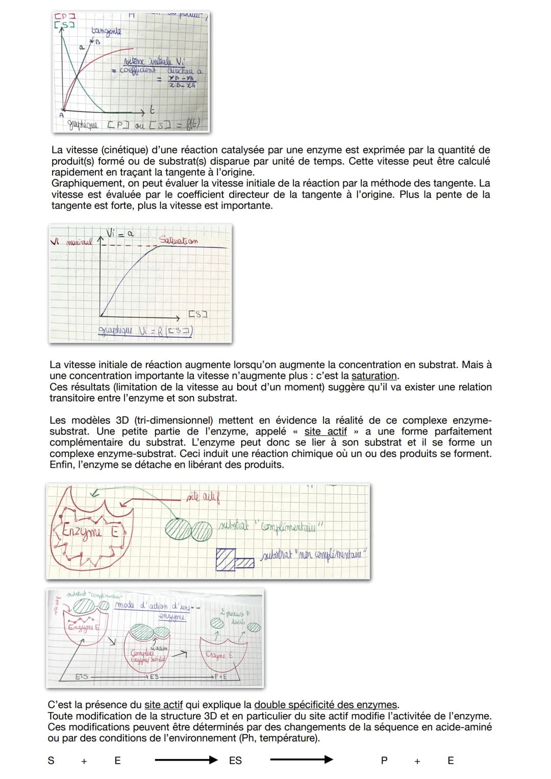 Thème 1A: Transmission, variation et expression du
patrimoine génétique
Chapitre 1 : Les Enzymes
Les enzymes sont des protéines issues de l'