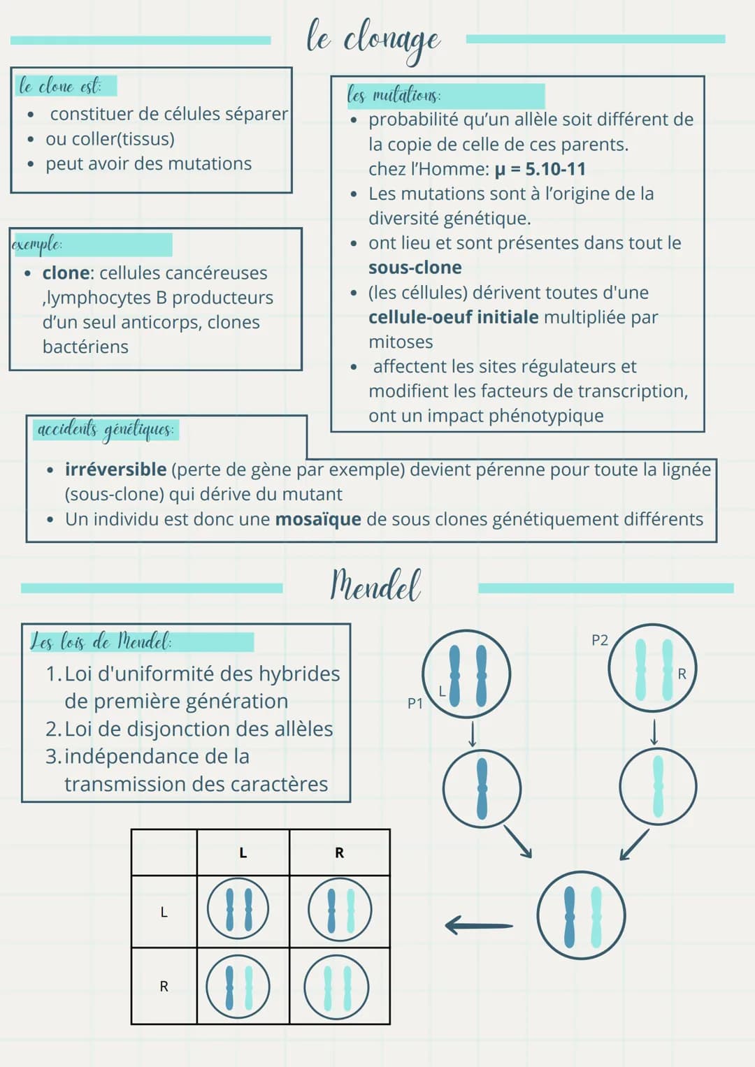 Ma fiche
la génétique
de révision de St
définitions importantes
1. Génotype :
• Ensemble des allèles d'un individu, représentant son informa