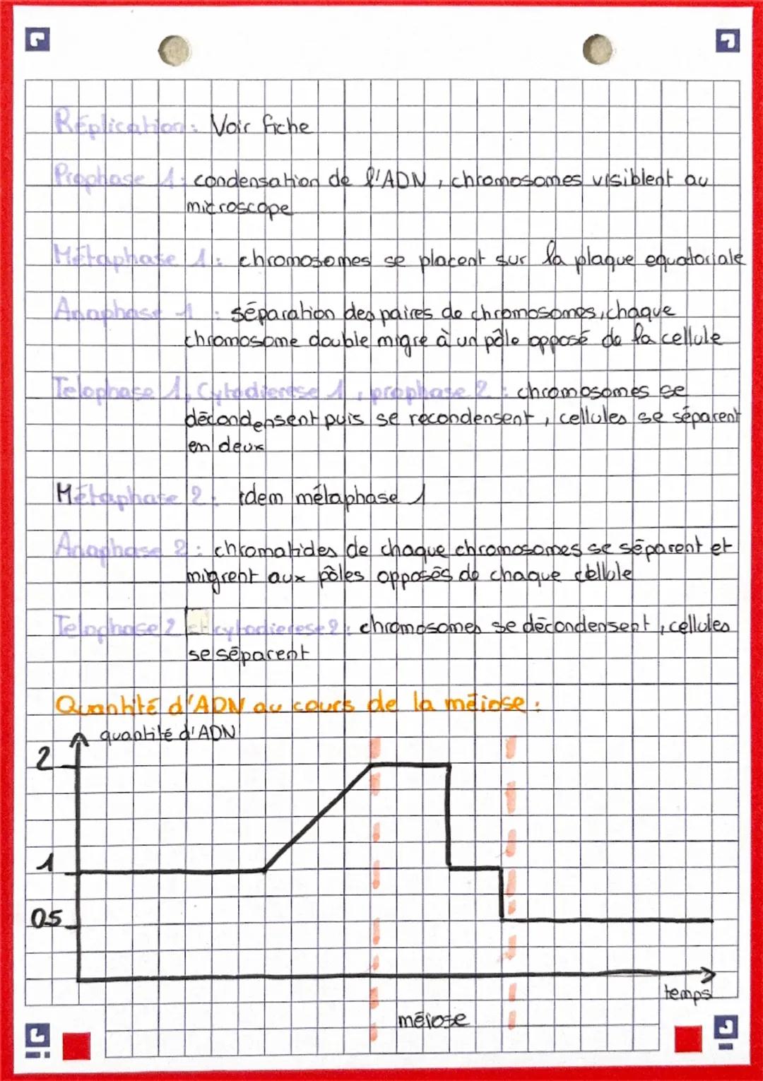 M
E
0
$
E
Définition: La meiose permet de former des gamètes possédant
la moitié des chromosomes d'un individu
Schéma de la méiose:
cine pai