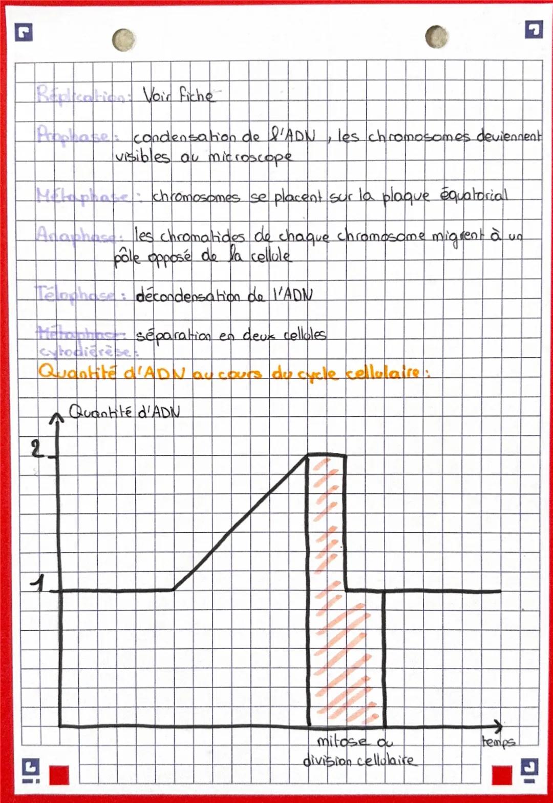 M
E
0
$
E
Définition: La meiose permet de former des gamètes possédant
la moitié des chromosomes d'un individu
Schéma de la méiose:
cine pai
