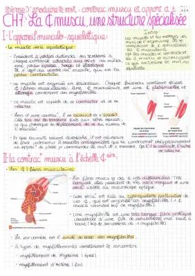 Know La cellule musculaire, une structure spécialisée thumbnail